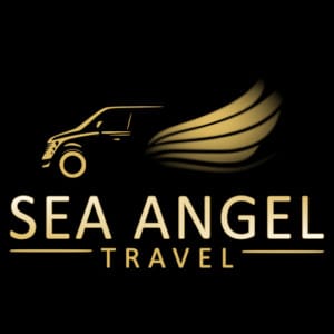 Home 9 Sea angel travel logo by g crafts web solutions